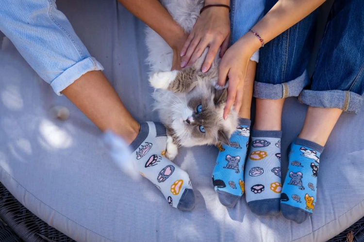 koty - stopki - Spox Sox - detal 1.jpg
