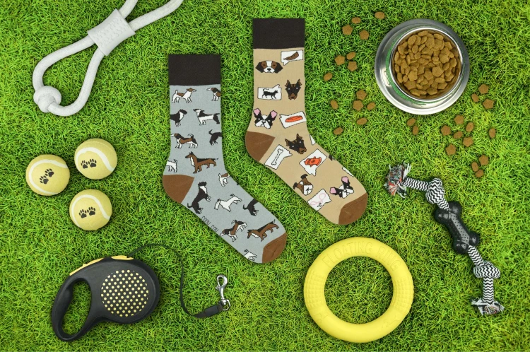Psy - aranżacja - Spox Sox