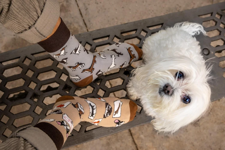 Psy - kolorowe skarpetki - Spox Sox