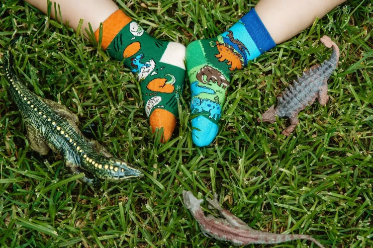 Skarpetki z dinozaurami dziecięce