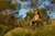 trekkingowe - skarpety - Spox Sox (13)_3_11zon.webp