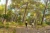 trekkingowe - skarpety - Spox Sox (10)_20_11zon.webp