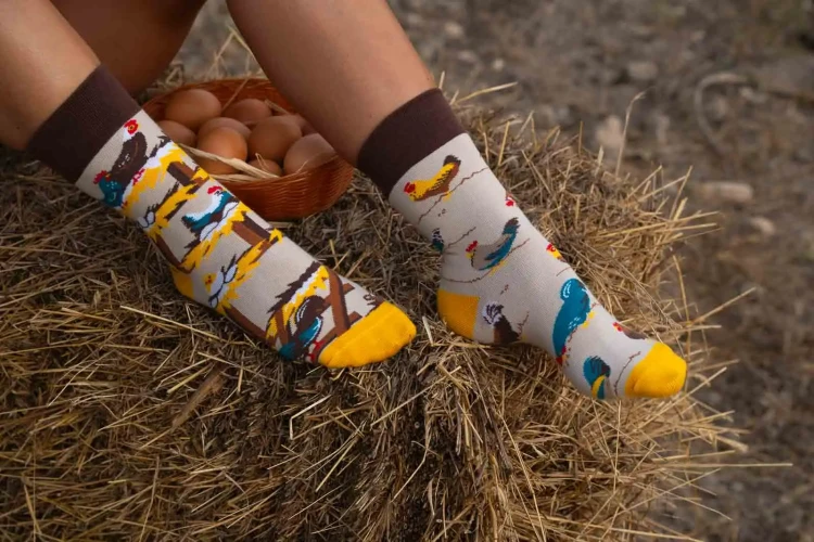 Kury - kolorowe skarpetki - kurczaki - Spox Sox