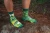 Grzyby - kolorowe skarpetki - Spox Sox