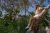 Skarpetki-nie-do-pary-hipopotam-kolorowe-skarpetki-SpoxSox-lookbook1.webp