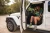 Skarpetki-nie-do-pary-offroad--kolorowe-skarpetki-SpoxSox-lookbook6.webp
