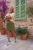 Stopki awokado-kolorowe-stopki-SpoxSox-lookbook4.webp