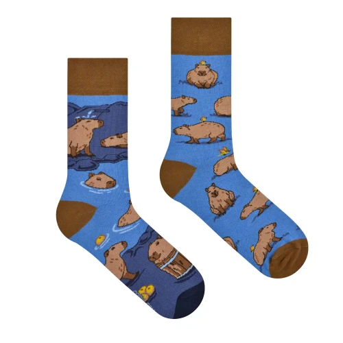 Kapibary- kolorowe skarpetki - Spox Sox.webp
