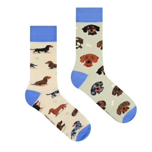 Jamniki-psy-kolorowe-skarpetki-spox-sox.webp