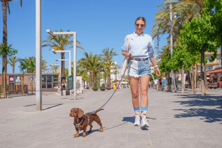 Jamniki-Spox-Sox-kolorowe-skarpetki-lookbook3.webp