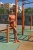 Spox Sox - stopki-sportowe-treningowe-pomaranczowe-kolorowe- lookbook.webp