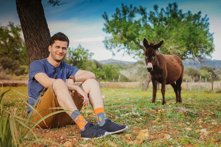 Stick and carrot - funny socks - Spox Sox