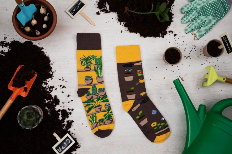 Ogrodnicze skarpetki w rośliny
