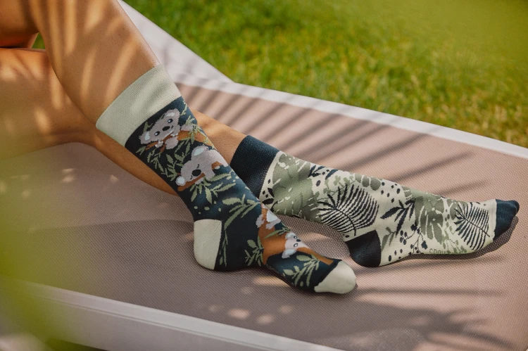 Koala - funny socks - Spox Sox