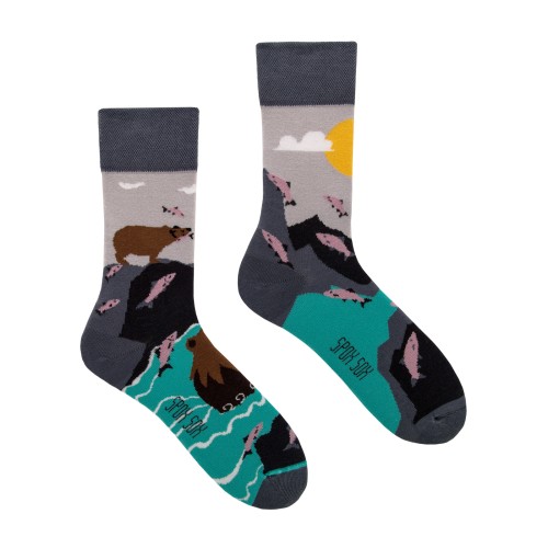 Niedźwiedzie - kolorowe skarpetki - Spox Sox